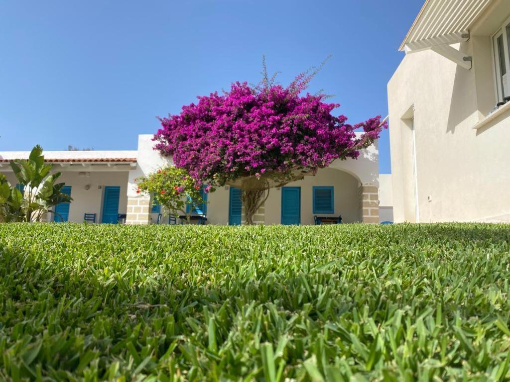 Antichi Mulini Hotel Favignana Eksteriør billede